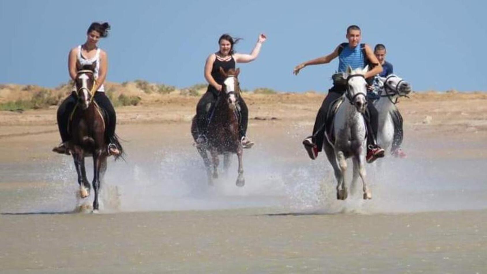 Royal Beach Resort, الغردقة المظهر الخارجي الصورة